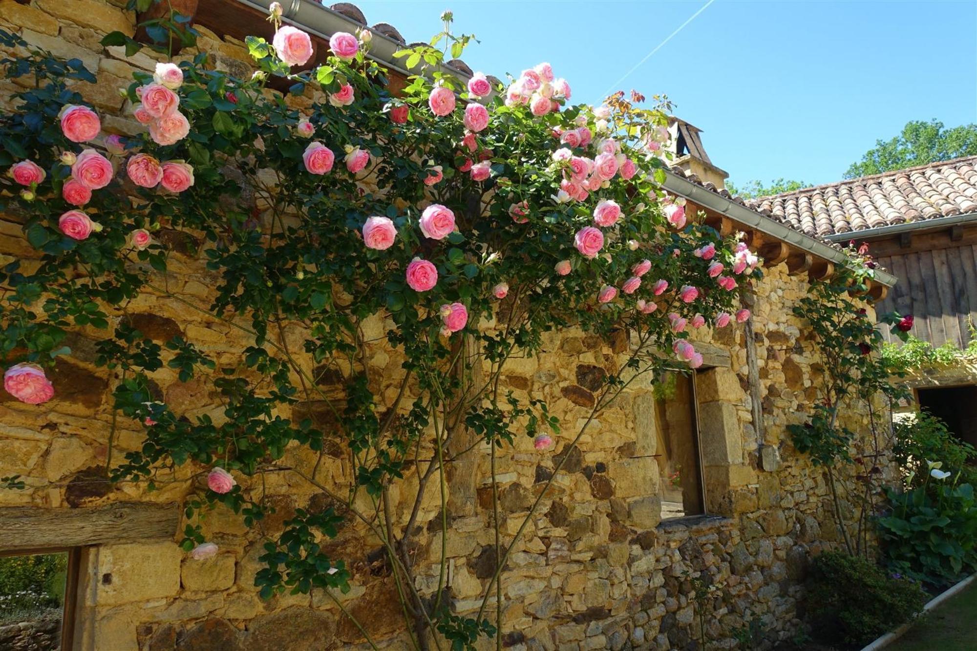 Domaine De Cournet Haut, A 17Th Century Property Set On A Calm, Idyllic Domain With Pool, Tennis, Bikes And More Les Vauries Exteriér fotografie