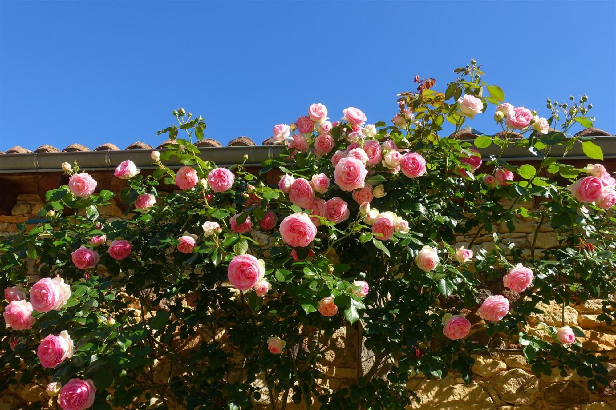 Domaine De Cournet Haut, A 17Th Century Property Set On A Calm, Idyllic Domain With Pool, Tennis, Bikes And More Les Vauries Exteriér fotografie