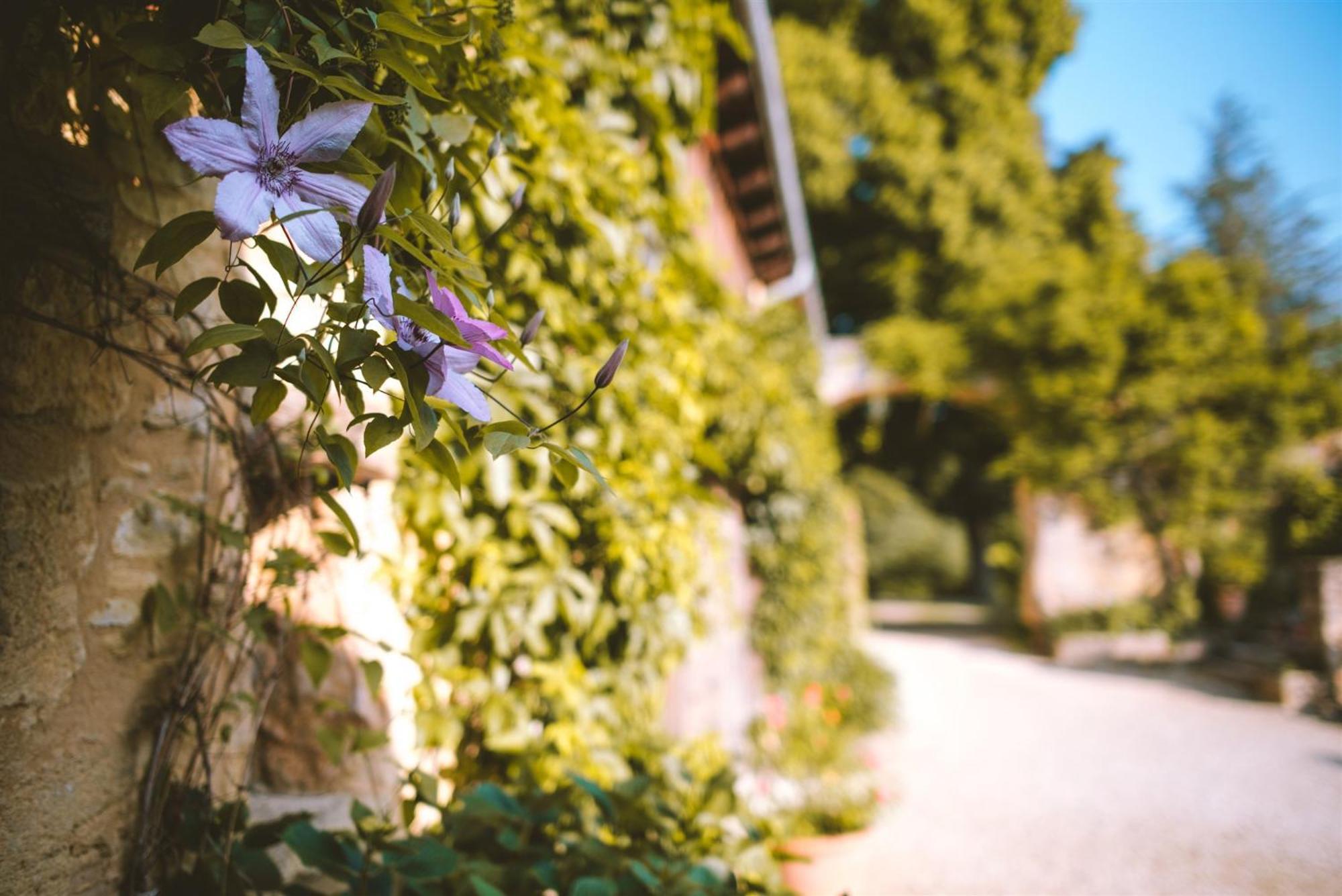 Domaine De Cournet Haut, A 17Th Century Property Set On A Calm, Idyllic Domain With Pool, Tennis, Bikes And More Les Vauries Exteriér fotografie