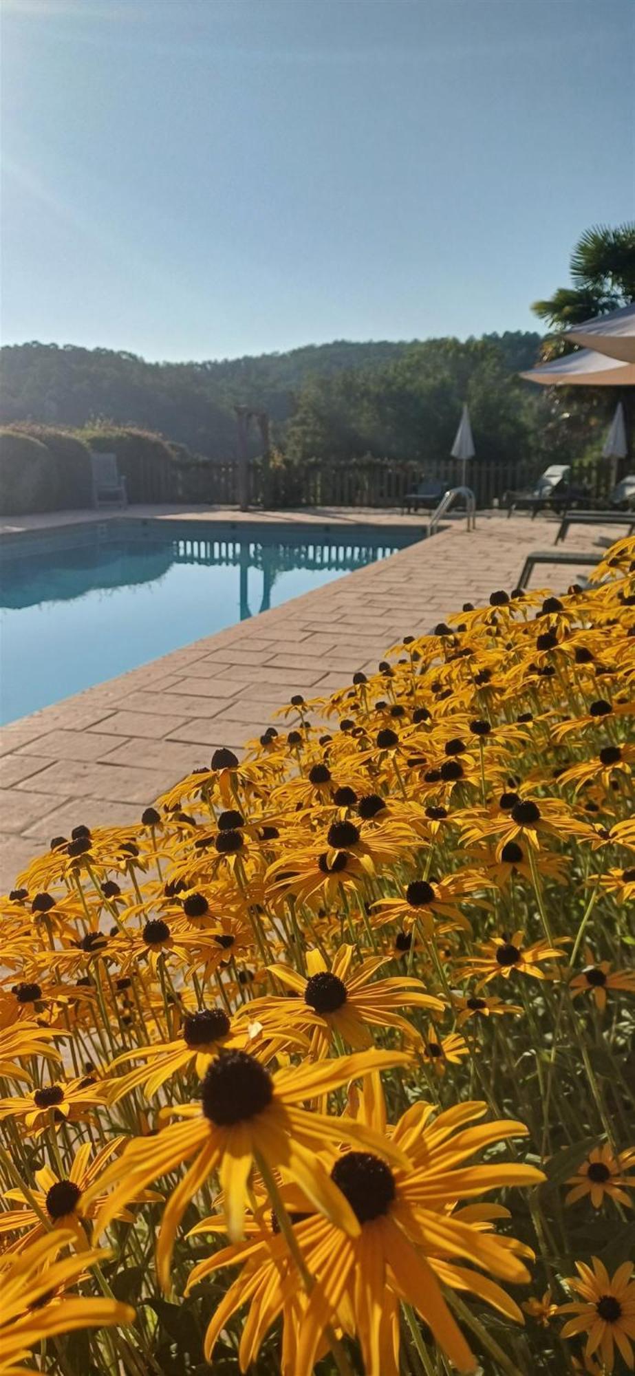 Domaine De Cournet Haut, A 17Th Century Property Set On A Calm, Idyllic Domain With Pool, Tennis, Bikes And More Les Vauries Exteriér fotografie